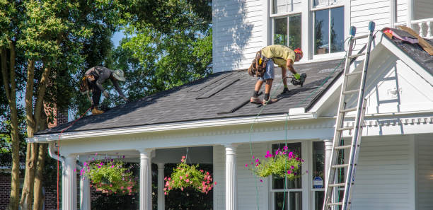 Roof Gutter Cleaning in Williston Park, NY